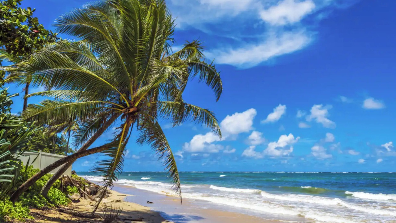 Photo of Others in Hauula