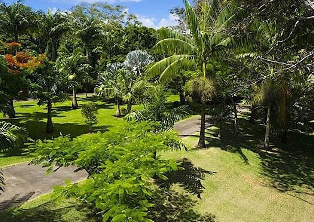 Photo of Others in Hakalau