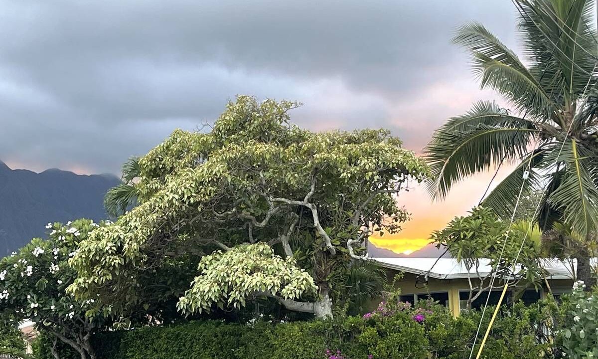 Photo of Others in Waimanalo Beach