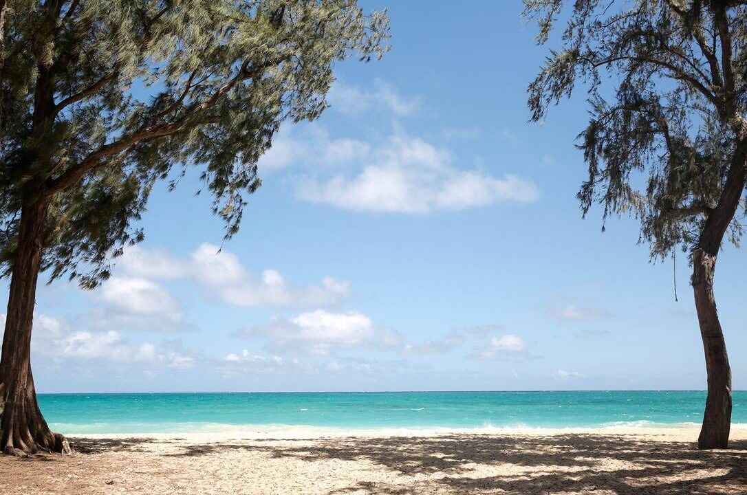 Photo of Others in Waimanalo Beach