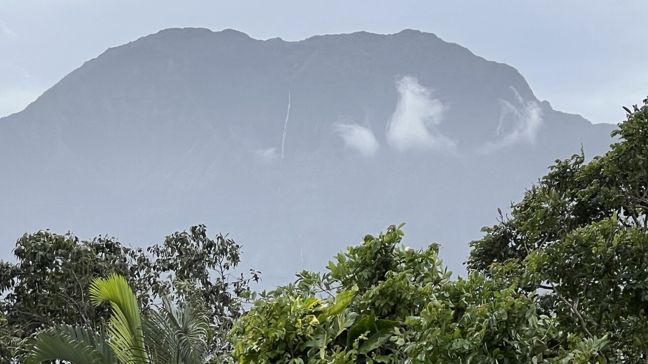 Photo of Others in Princeville