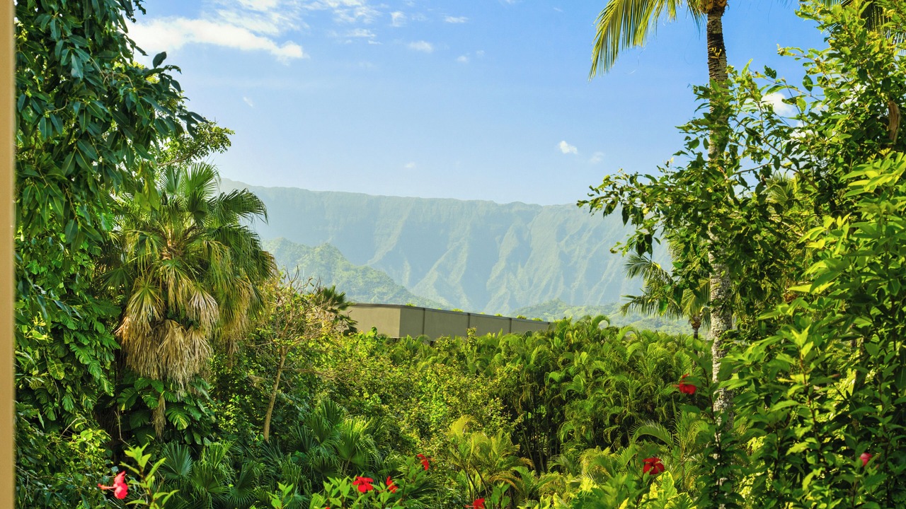 Photo of Others in Princeville