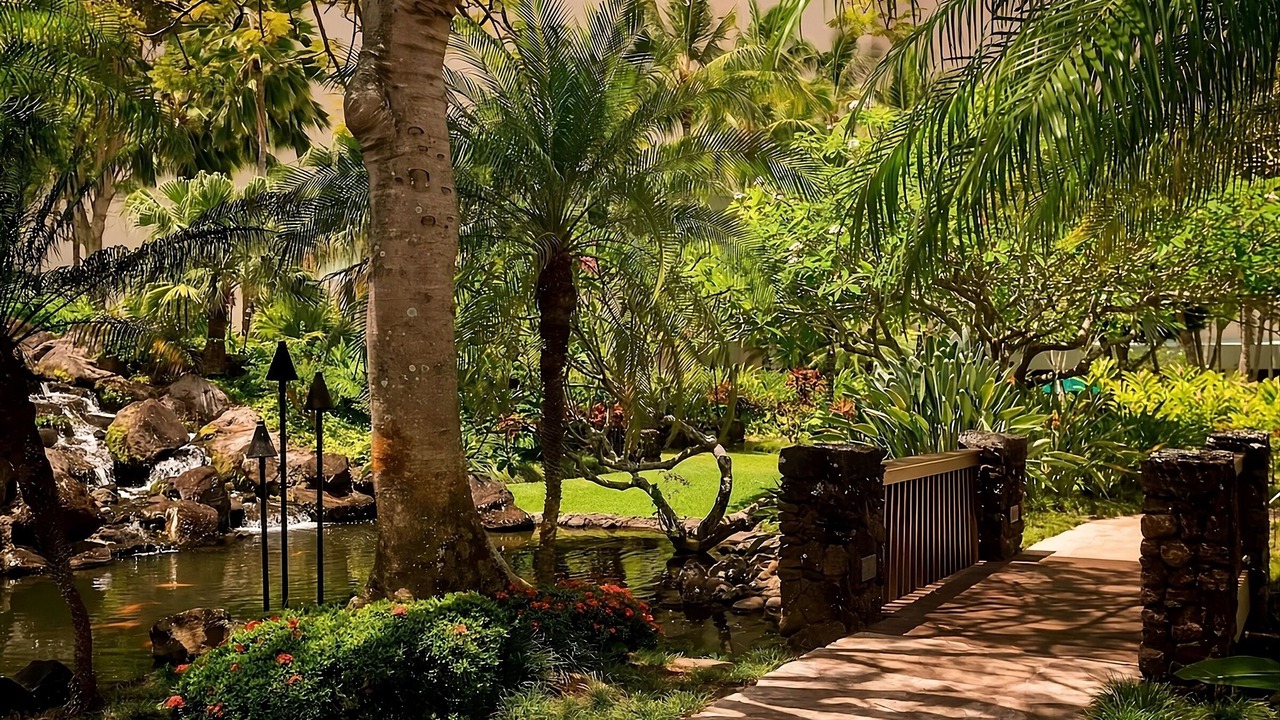 Photo of Others in Lihue