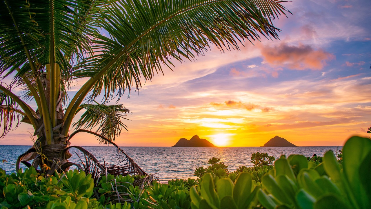 Photo of Others in Lanikai