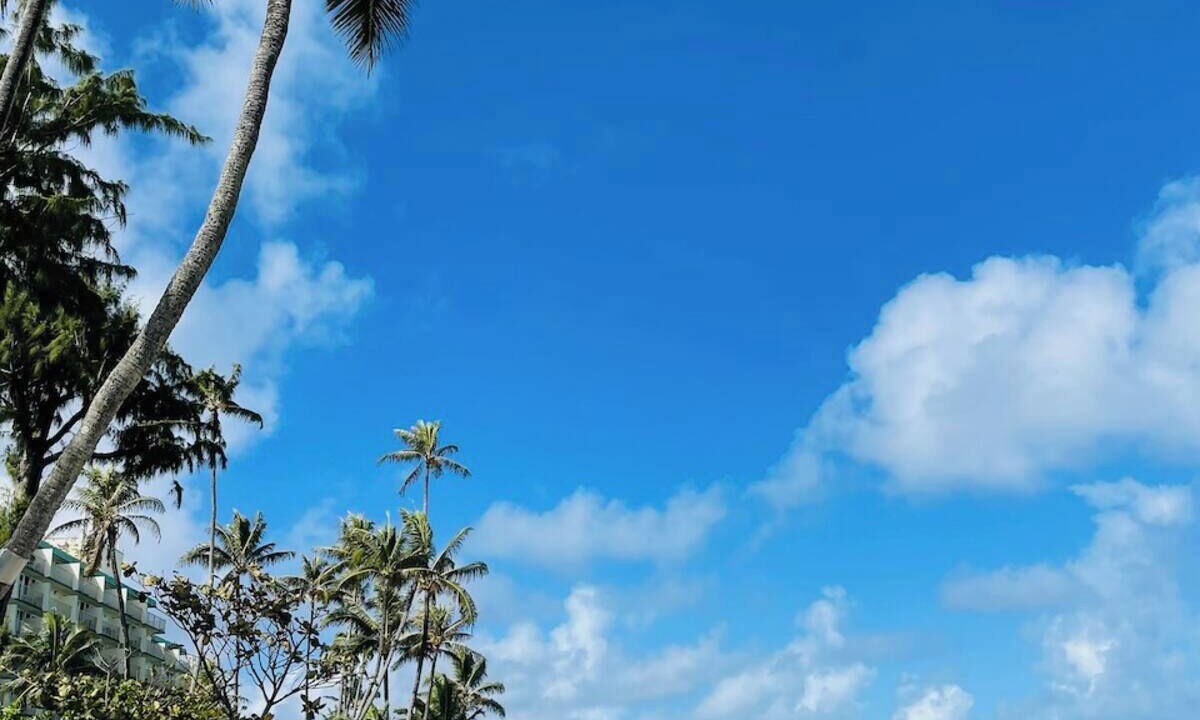 Photo of Others in Punaluu