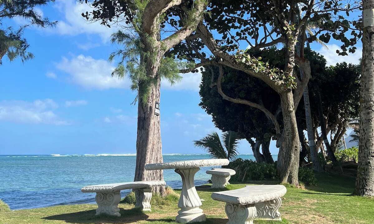 Photo of Outdoor in Punaluu