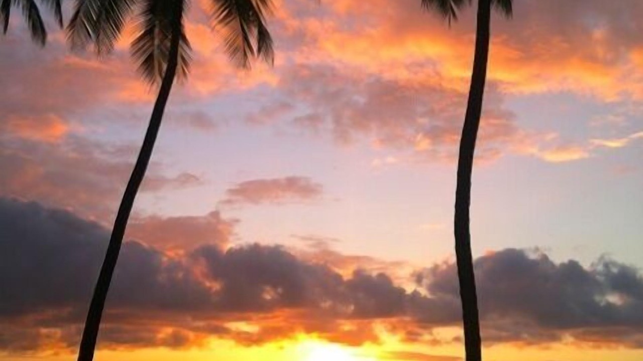 Photo of Others in Kahaluu-Keauhou