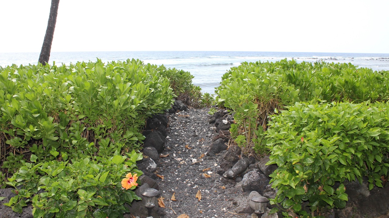 Photo of Others in Kahaluu-Keauhou