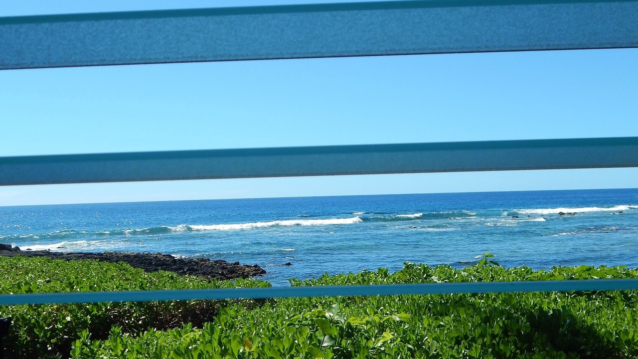 Photo of Others in Kahaluu-Keauhou