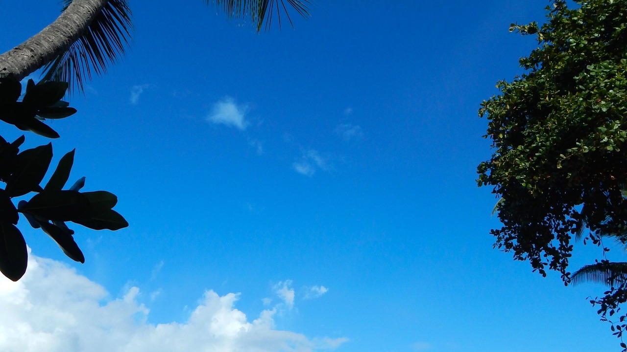 Photo of Others in Kahaluu-Keauhou