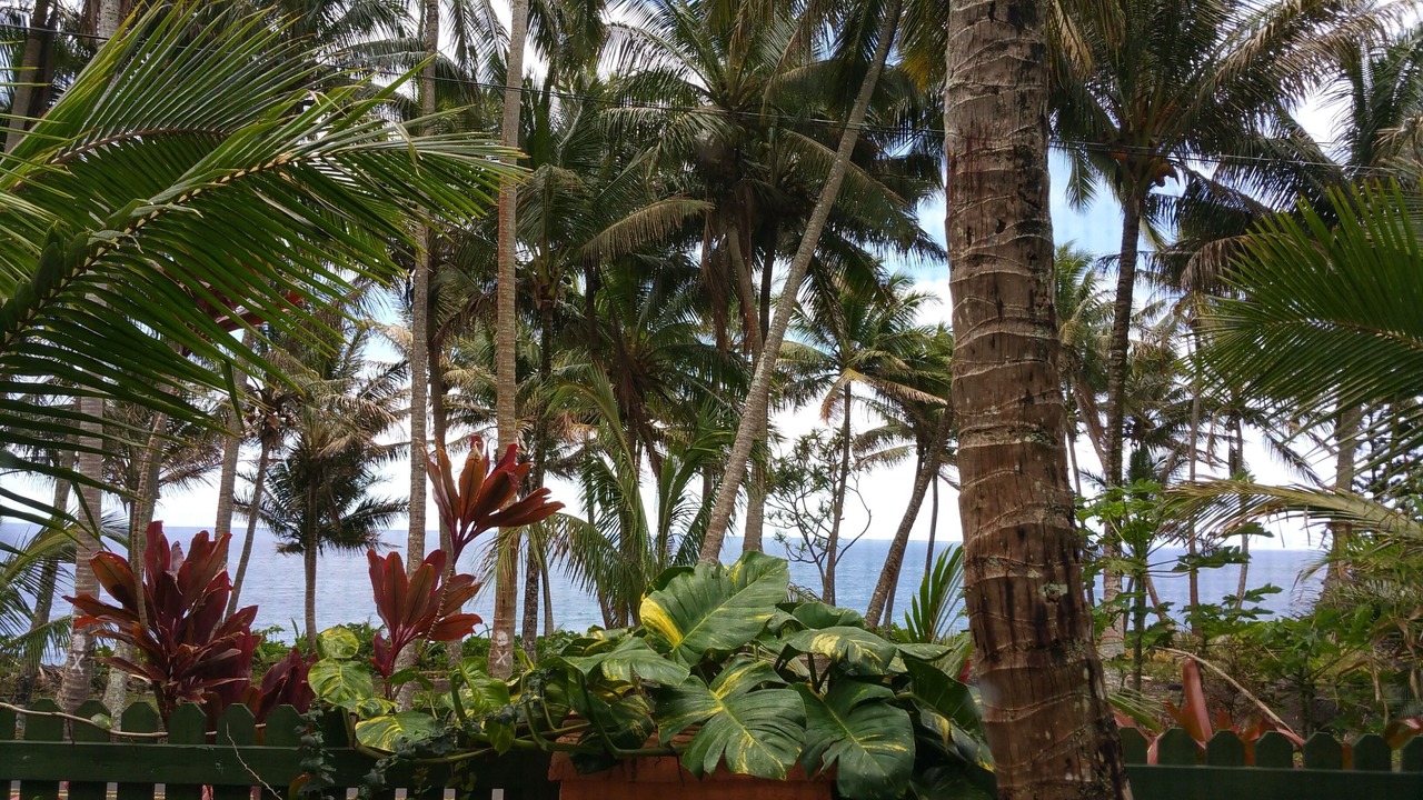 Photo of Others in Kehena Beach Estates