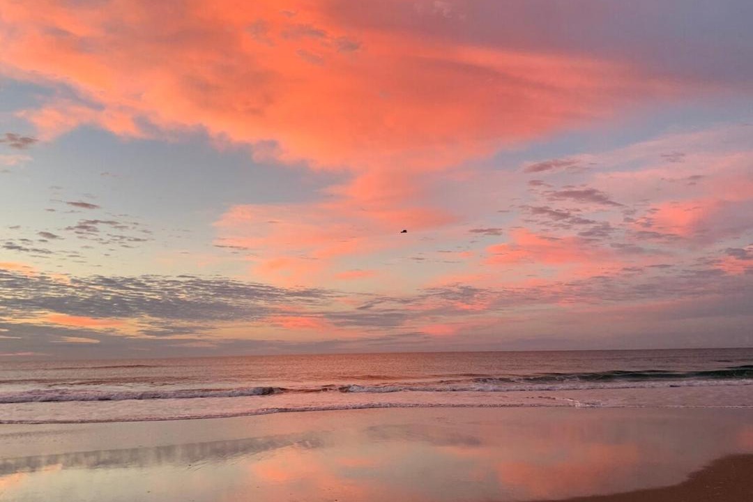 Photo of Others in Patchs Beach