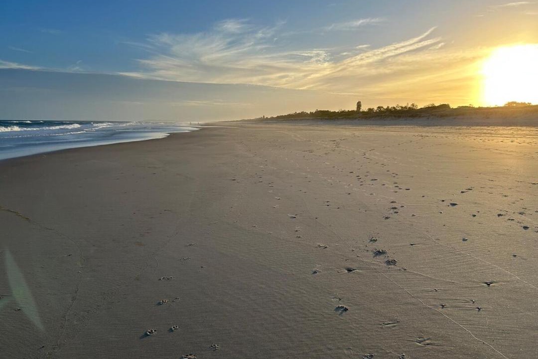 Photo of Others in Patchs Beach