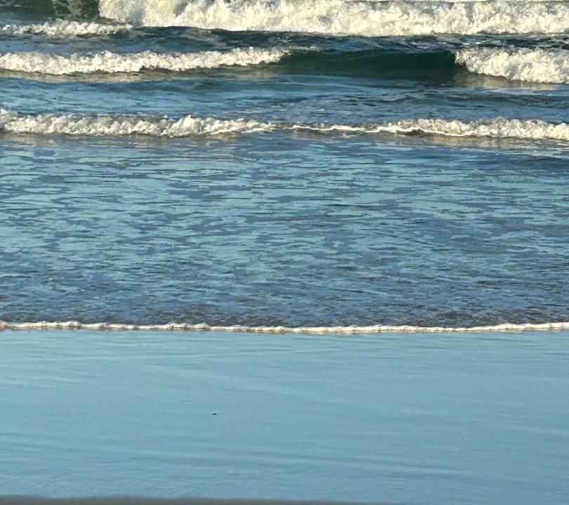Photo of Others in Patchs Beach