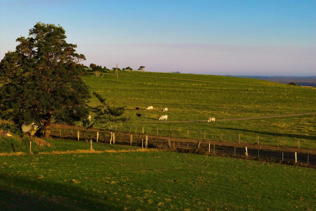 Photo of Others in Newrybar