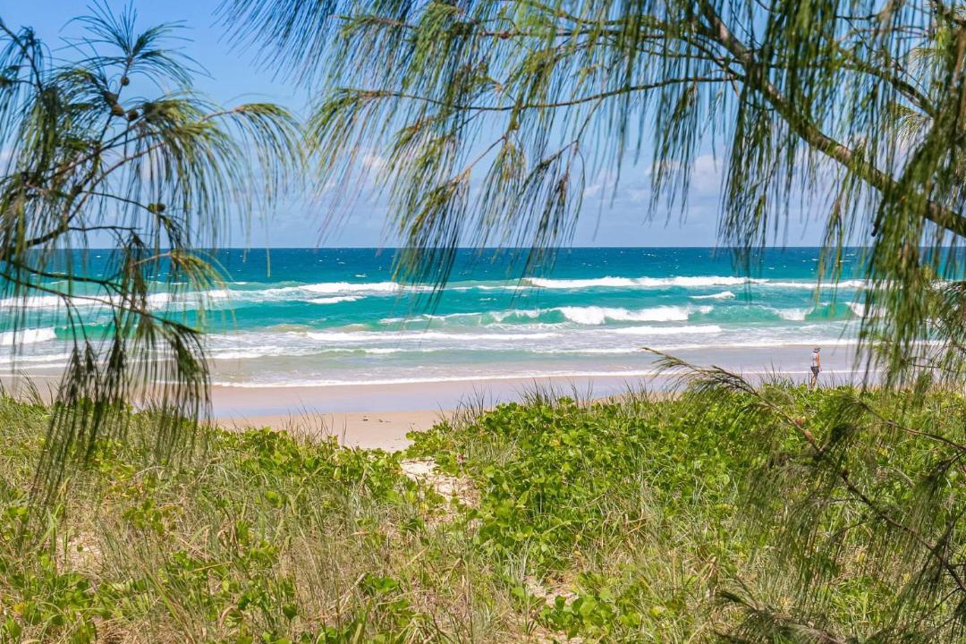 Photo of Others in Fingal Head