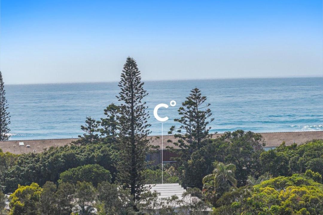 Photo of Others in Hastings Point