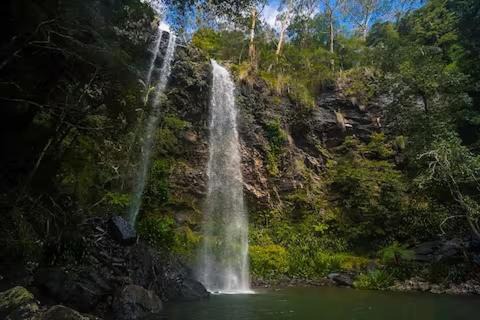 Photo of Others in Springbrook