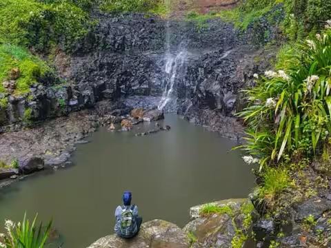 Photo of Others in Springbrook