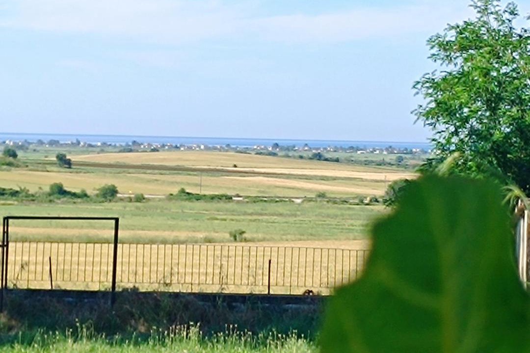 Photo of Others in Avdira