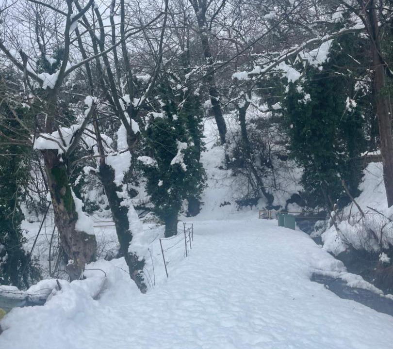 Photo of Outdoor in Stournaraiika
