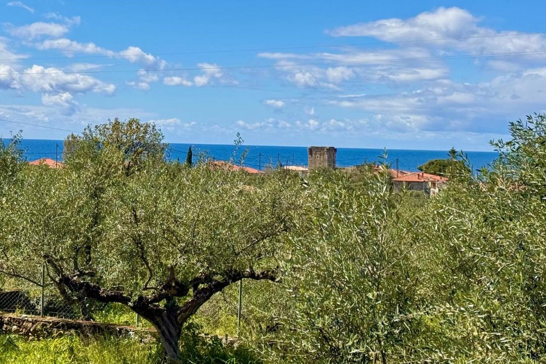 Photo of Others in Riglia