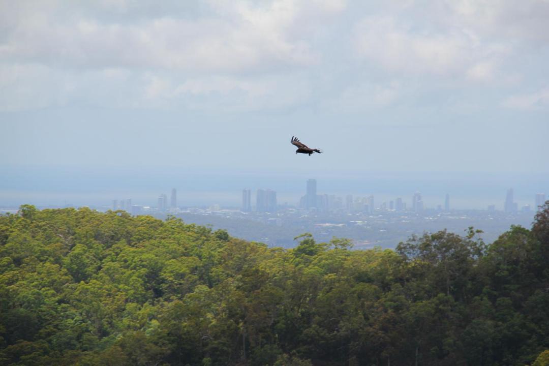 Photo of Others in Eagle Heights