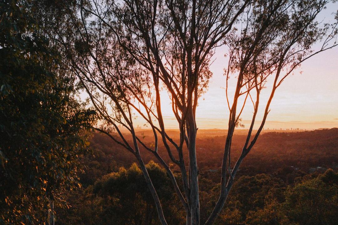 Photo of Others in Mudgeeraba