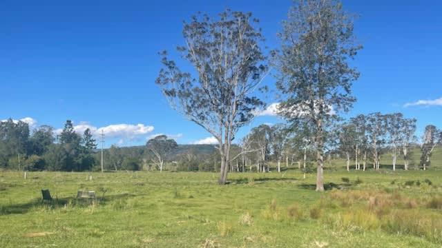 Photo of Others in Tunglebung
