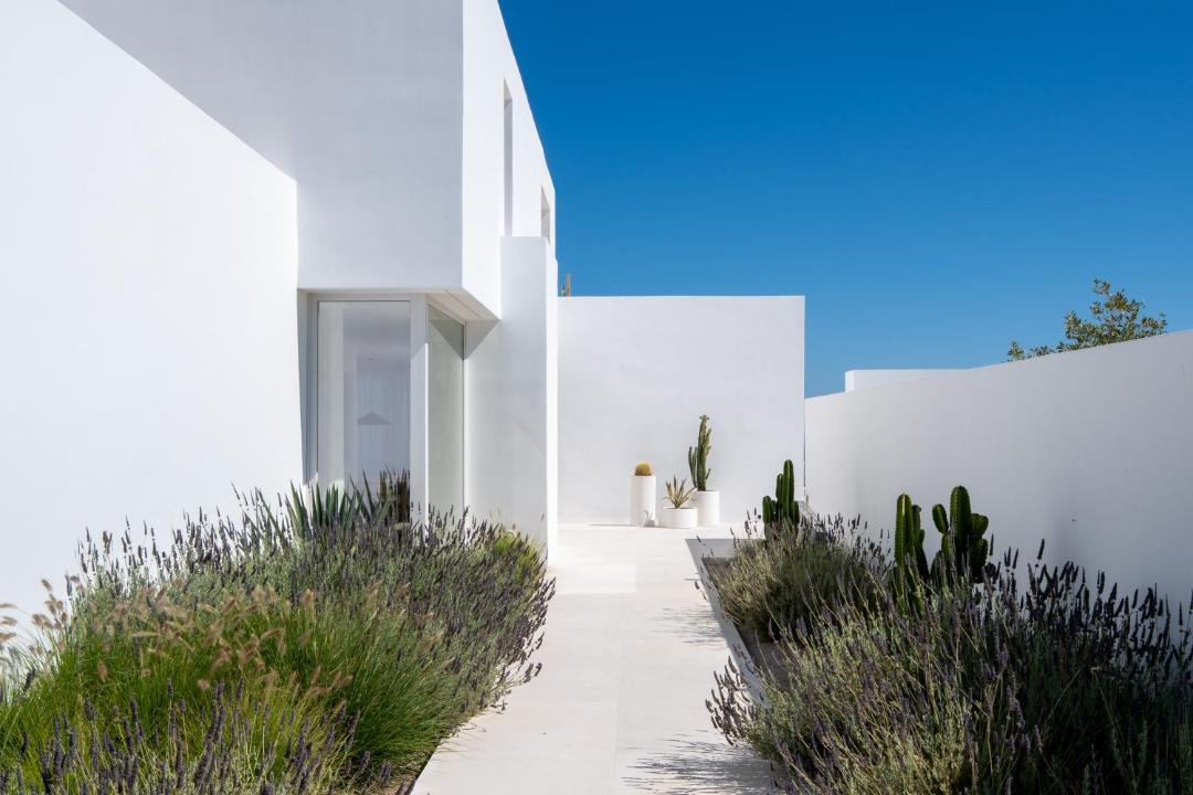 Photo of Others in Oia