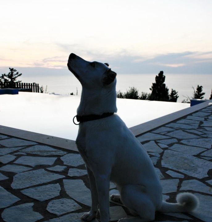 Photo of Others in Lefkas