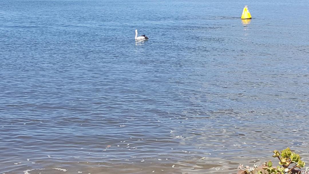 Photo of Others in Ballina