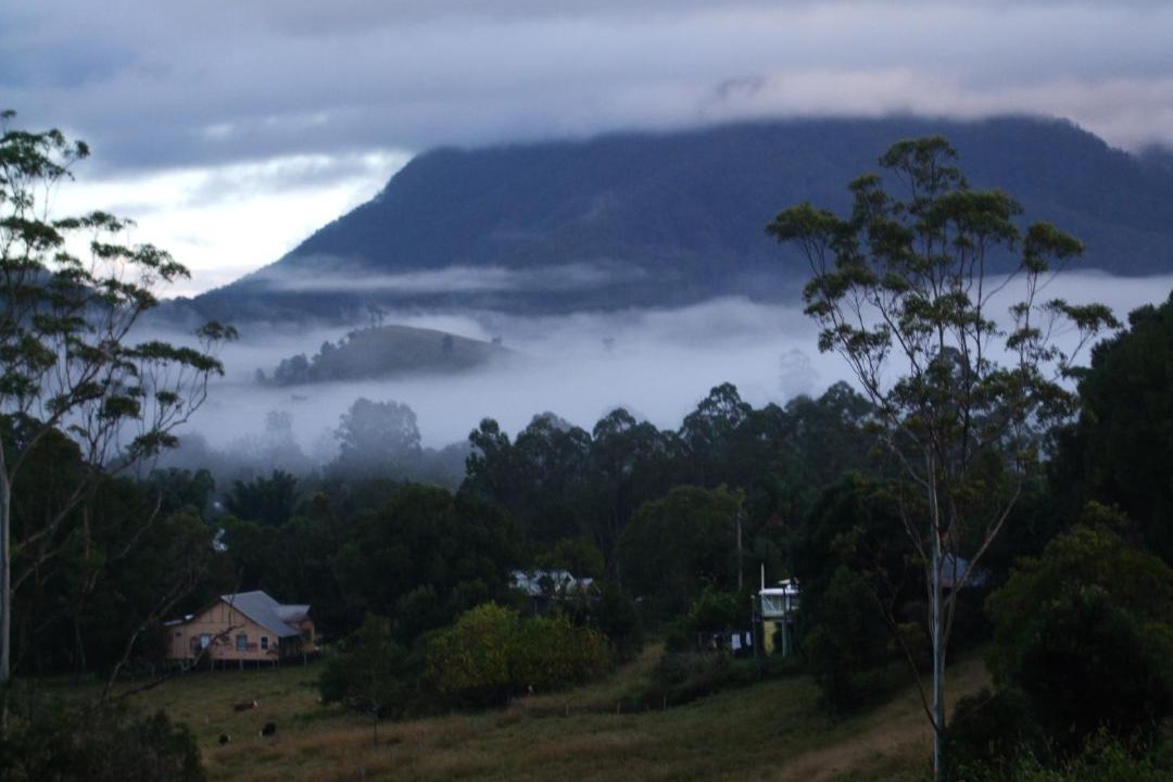 Photo of Others in Nimbin