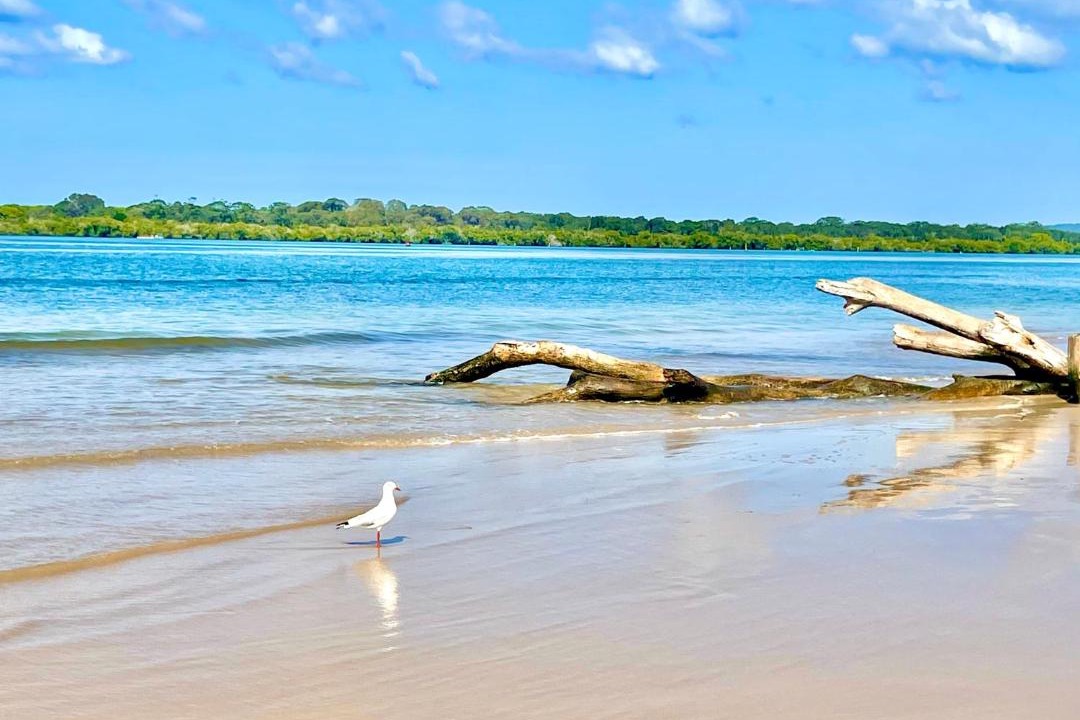 Photo of Others in East Ballina