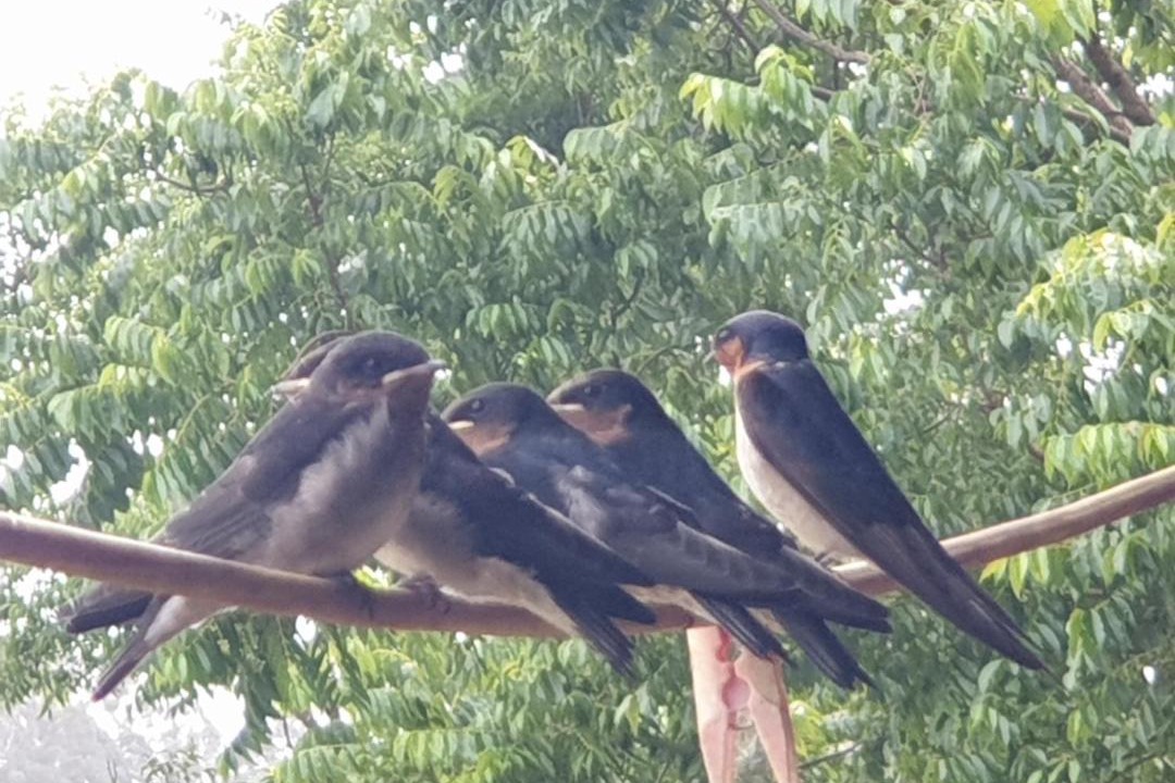 Photo of Others in Repentance Creek