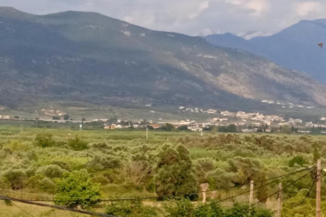 Photo of Others in Piperitsa