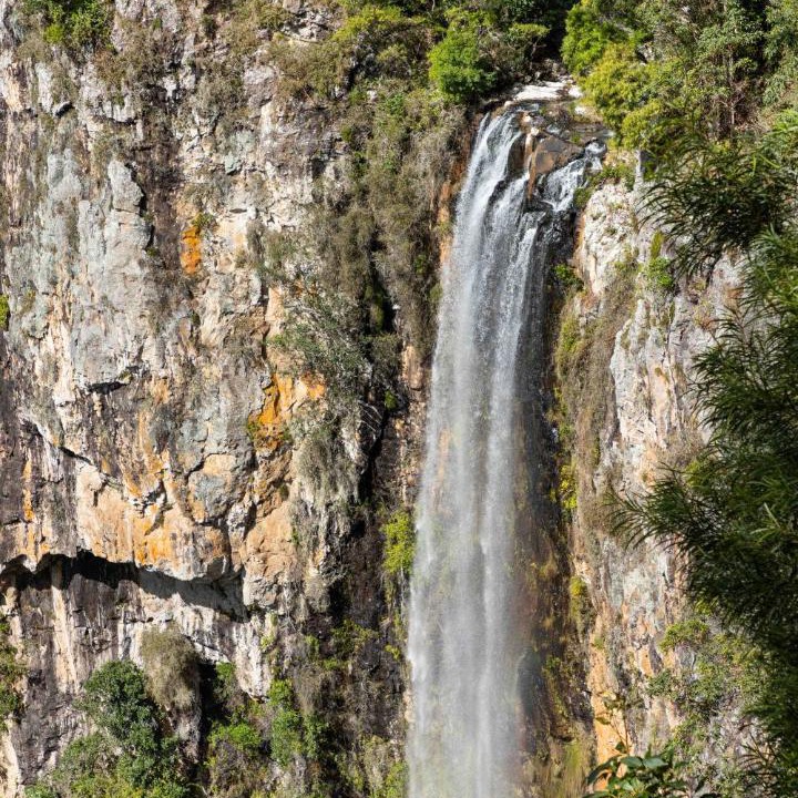 Photo of Others in Springbrook