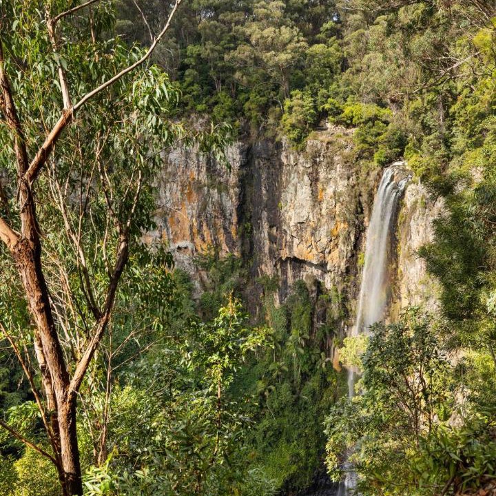 Photo of Others in Springbrook