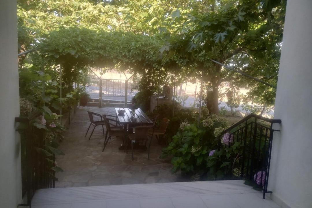 Photo of Others in Paleopoli