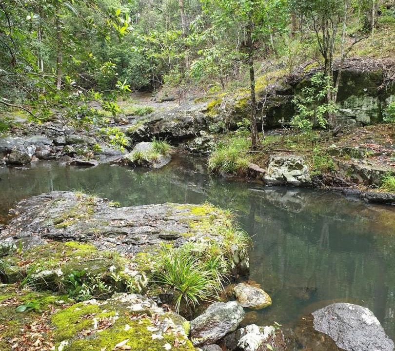 Photo of Others in Repentance Creek