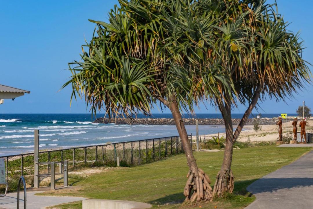 Photo of Others in Casuarina