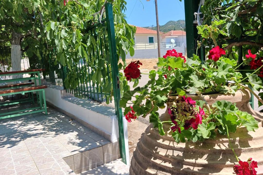 Photo of Others in Lefkas