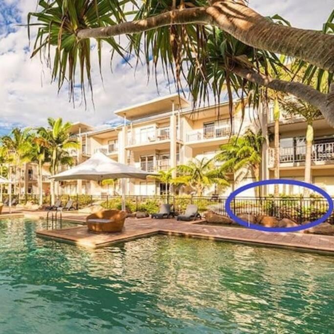 Photo of Others in Kingscliff