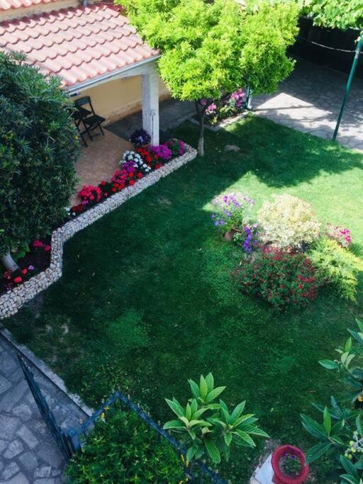 Photo of Others in Nestos