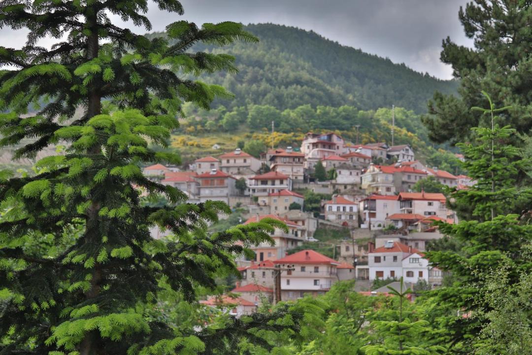 Photo of Others in Servia