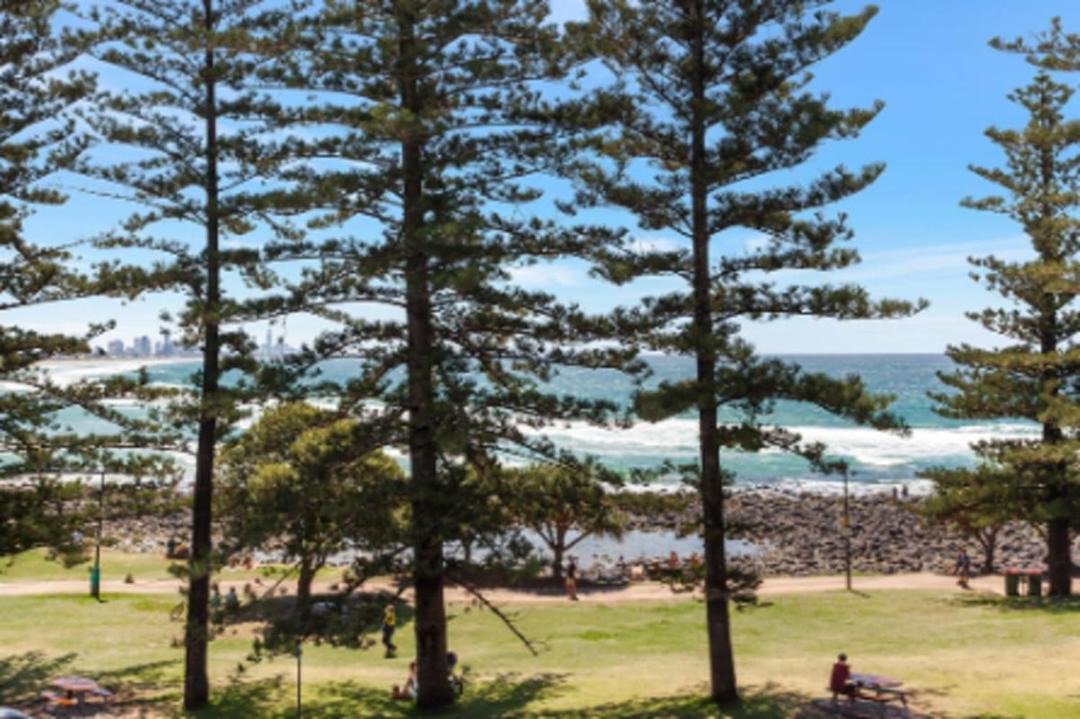 Photo of Others in Burleigh Heads