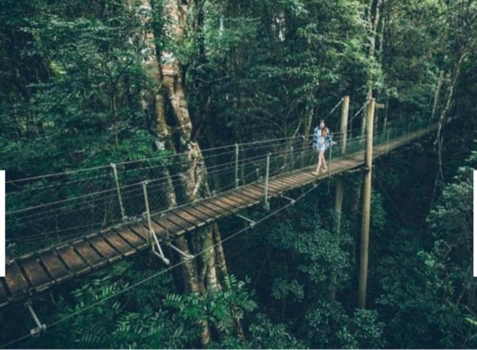 Photo of Others in Mount Tamborine