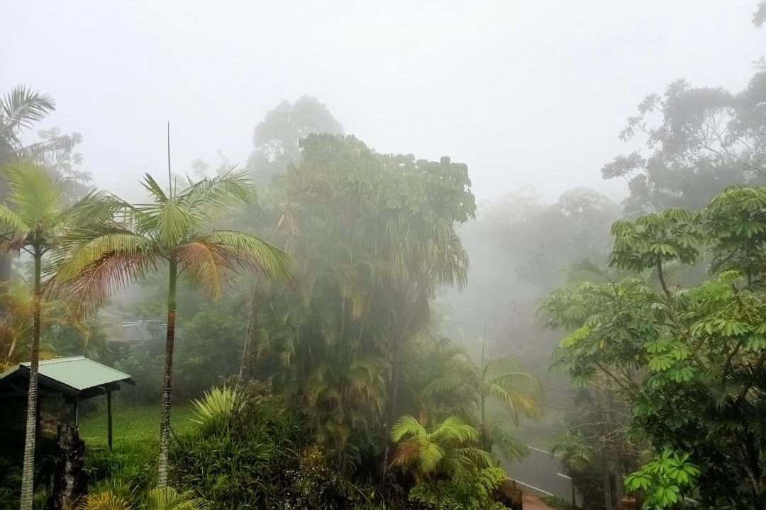 Photo of Others in Mount Tamborine