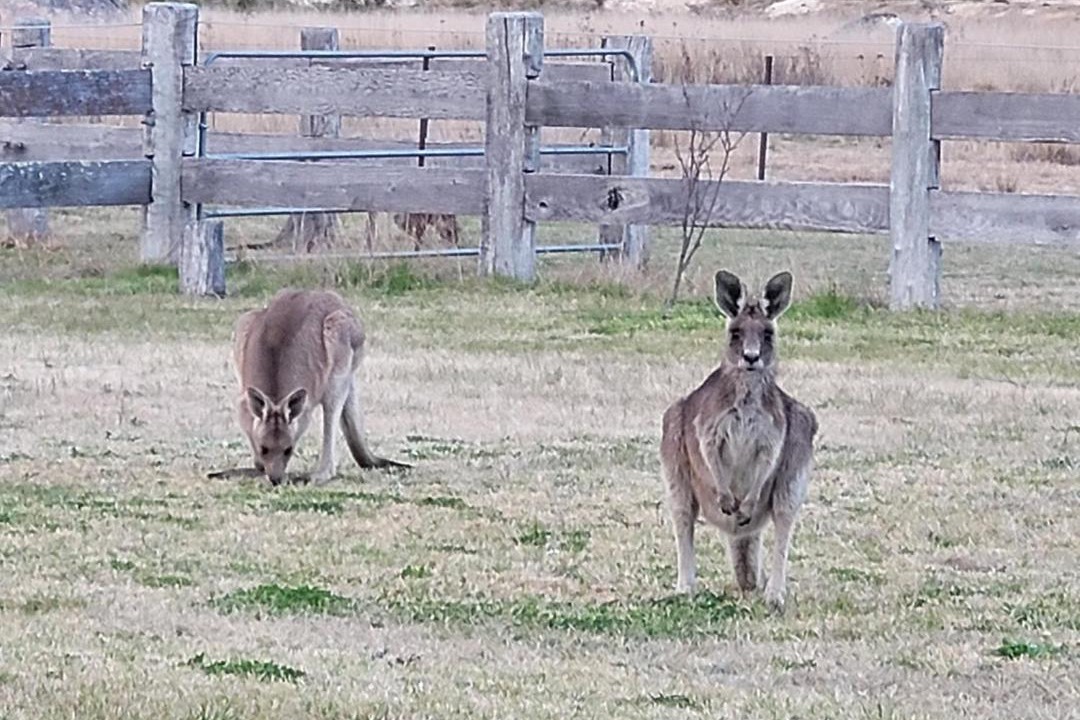 Photo of Others in Broadwater