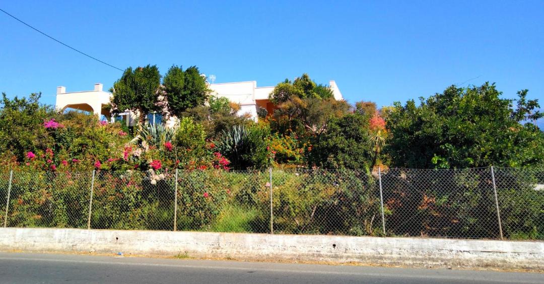 Photo of Others in Agia